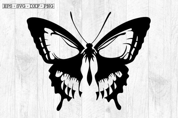 Download Butterfly Skull Svg , Skeleton Svg - Skull svg Collection
