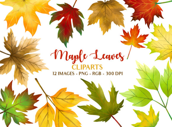 Download Maple Leaves Fall Season Illustrations - Fall Collection